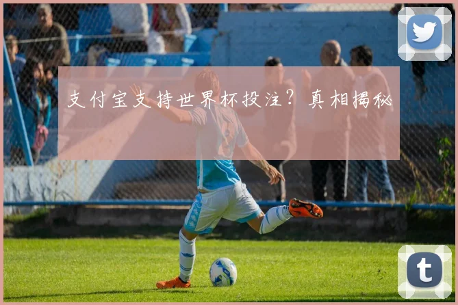 支付宝支持世界杯投注？真相揭秘